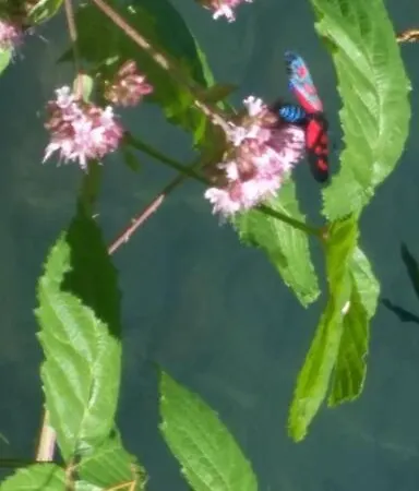 Apartament Acogedora Morada De Montana *